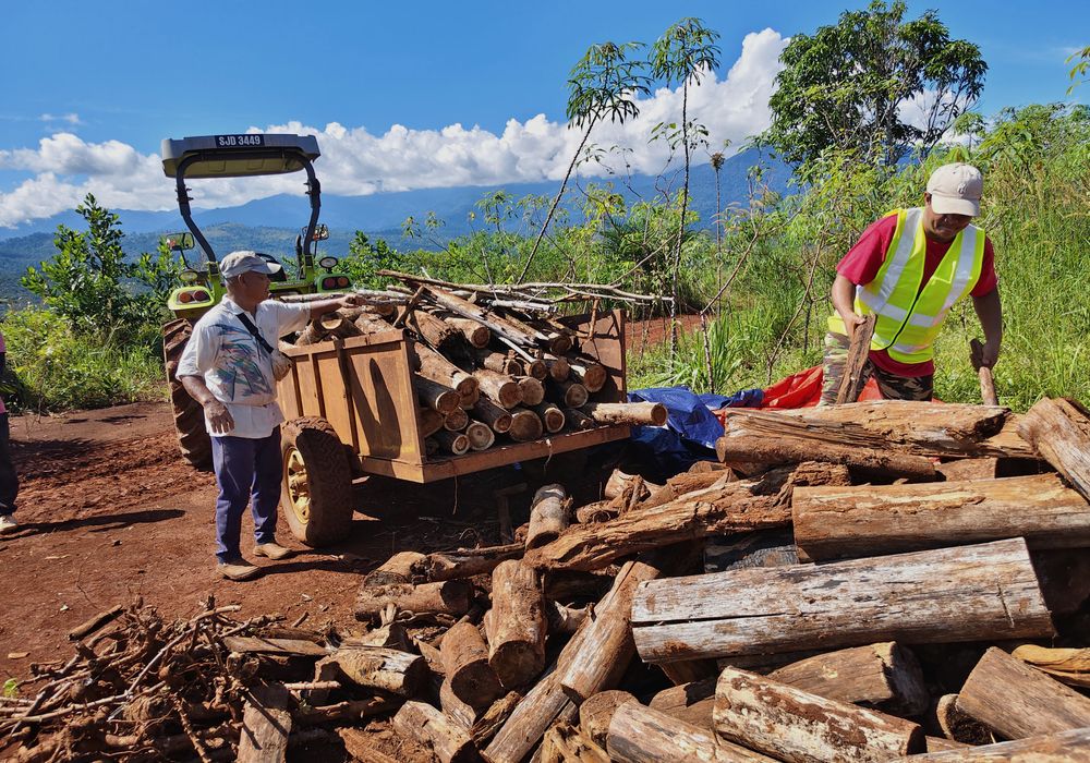 Workers loading cut timber and agricultural residue onto a trailer at a Reclimate site