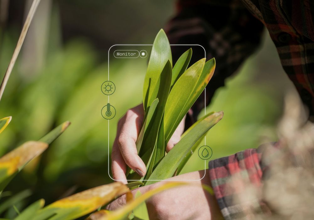 Field sampling of plant health, captured for the digital MRV record