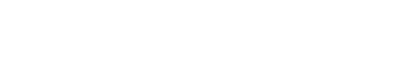 Carbon Standards International